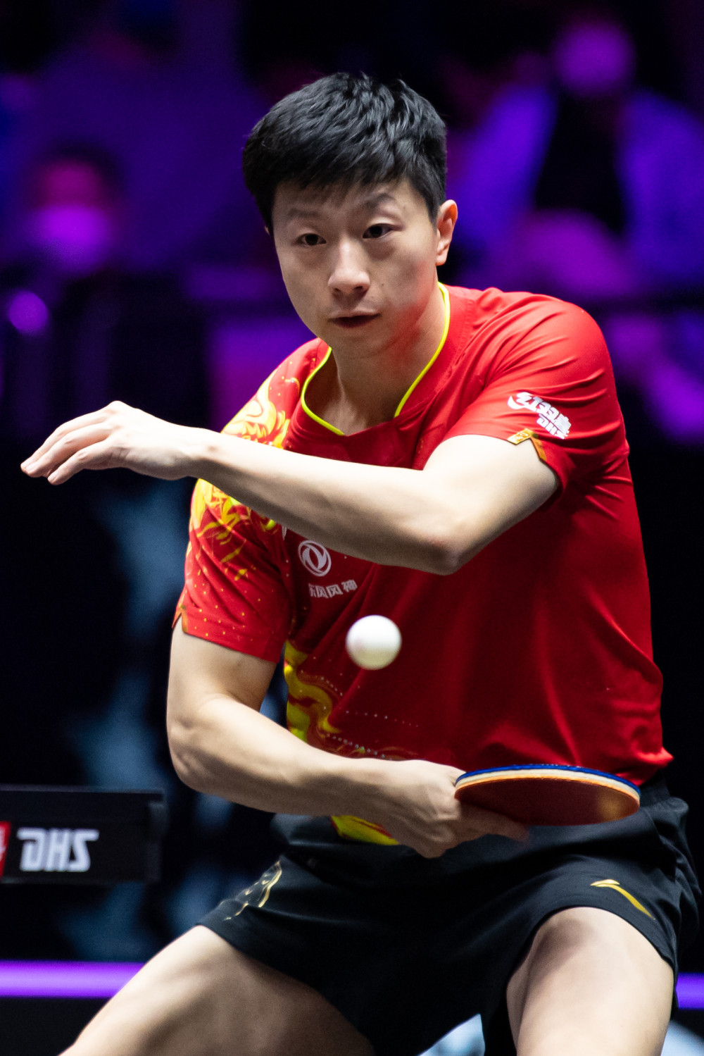 能显著提高 能显著提高