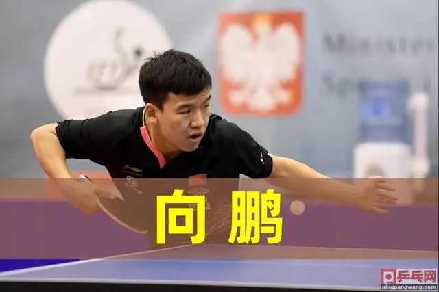 冷静和对手 冷静和对手